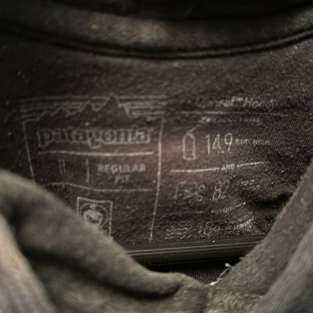 Patagonia Hoodie View 2